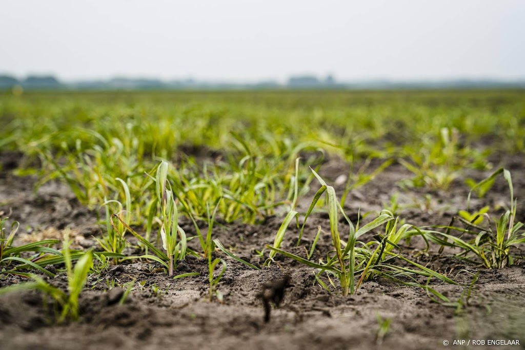 Neerslag in mei zorgt lokaal voor verlichting van droogte