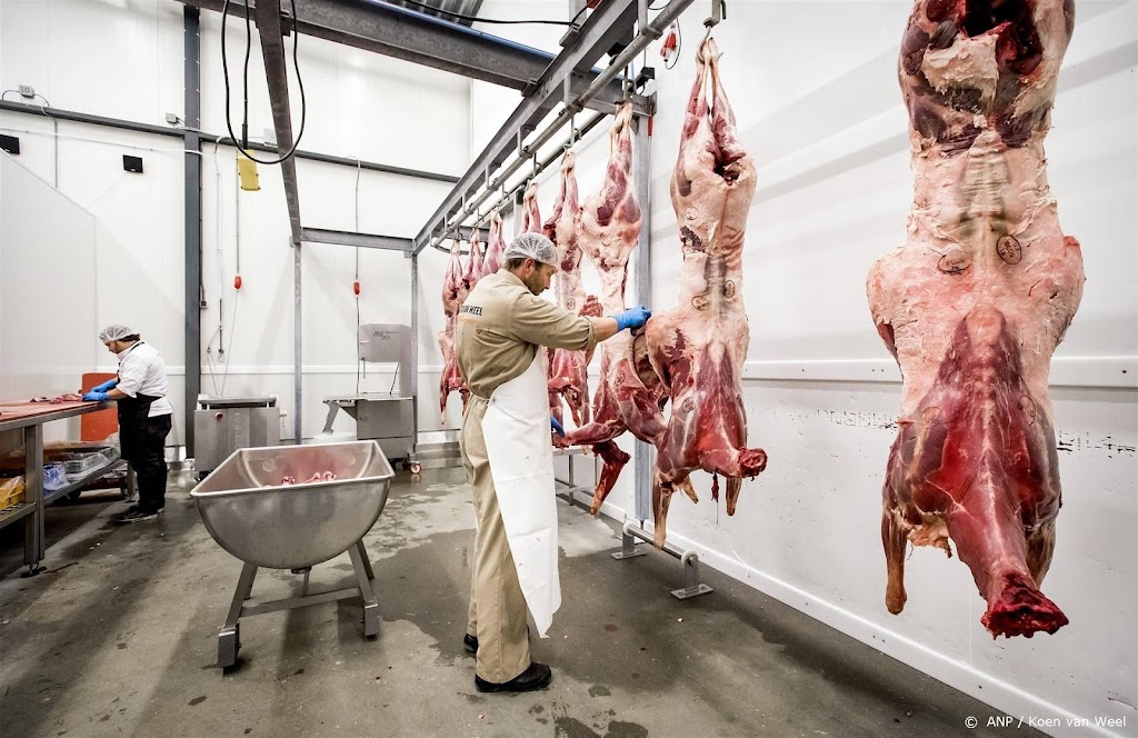 Adema: meer toezicht slachthuizen tegen structurele misstanden