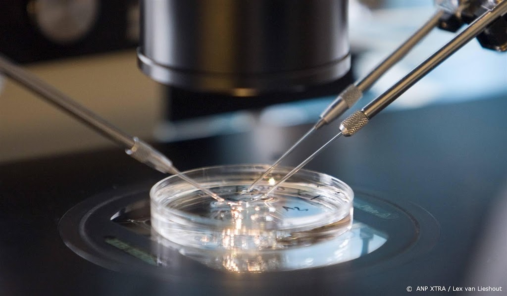 NPV: embryo's zijn te waardevol om voor onderzoek te gebruiken