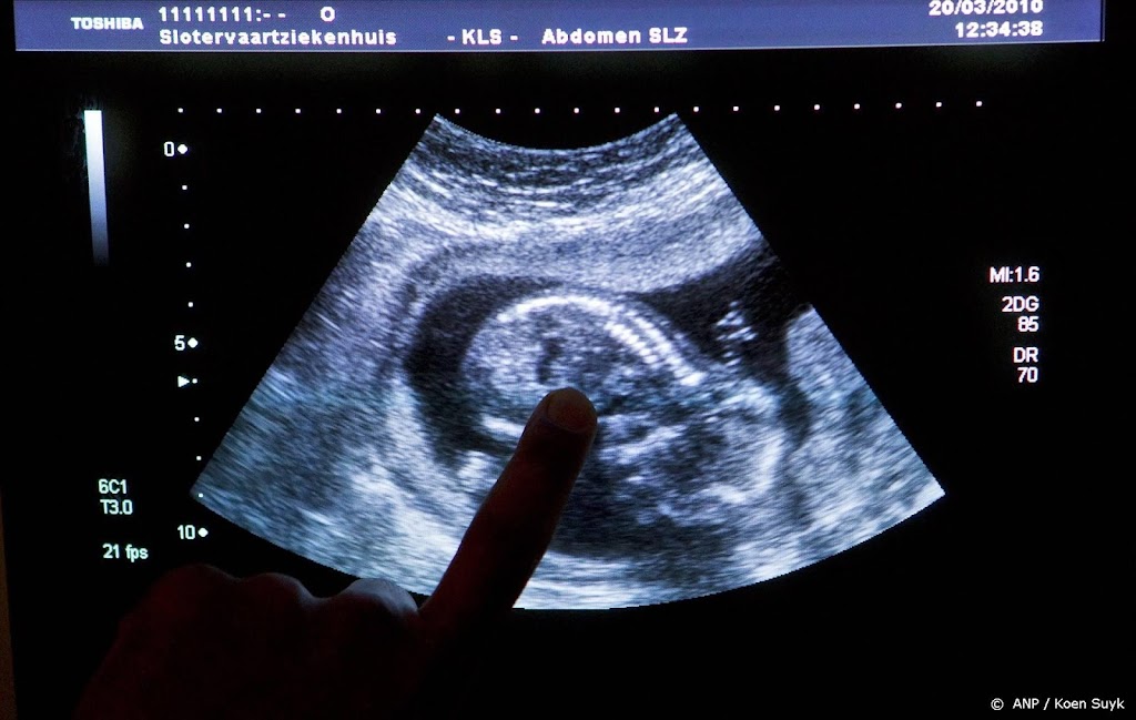 Rechtsfilosoof: fundamenteel debat nodig over embryo-onderzoek