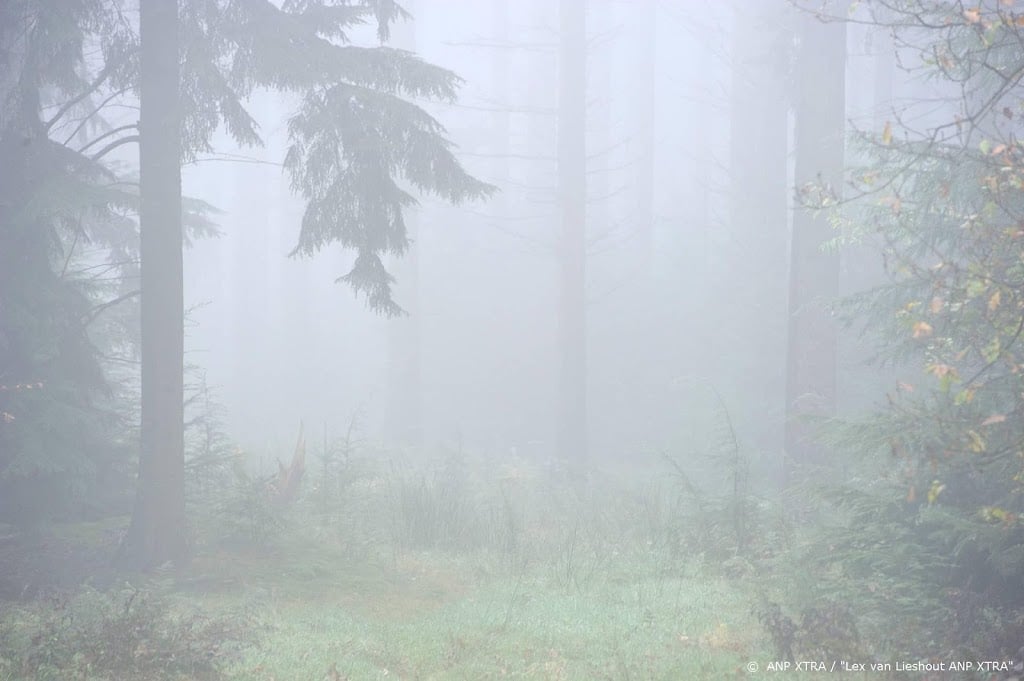 Waarschuwing om gladheid en dichte mist