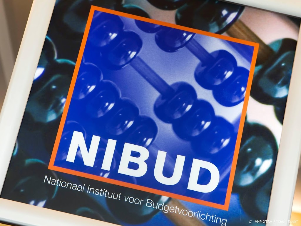 Nibud schiet zzp'ers te hulp met geldplan