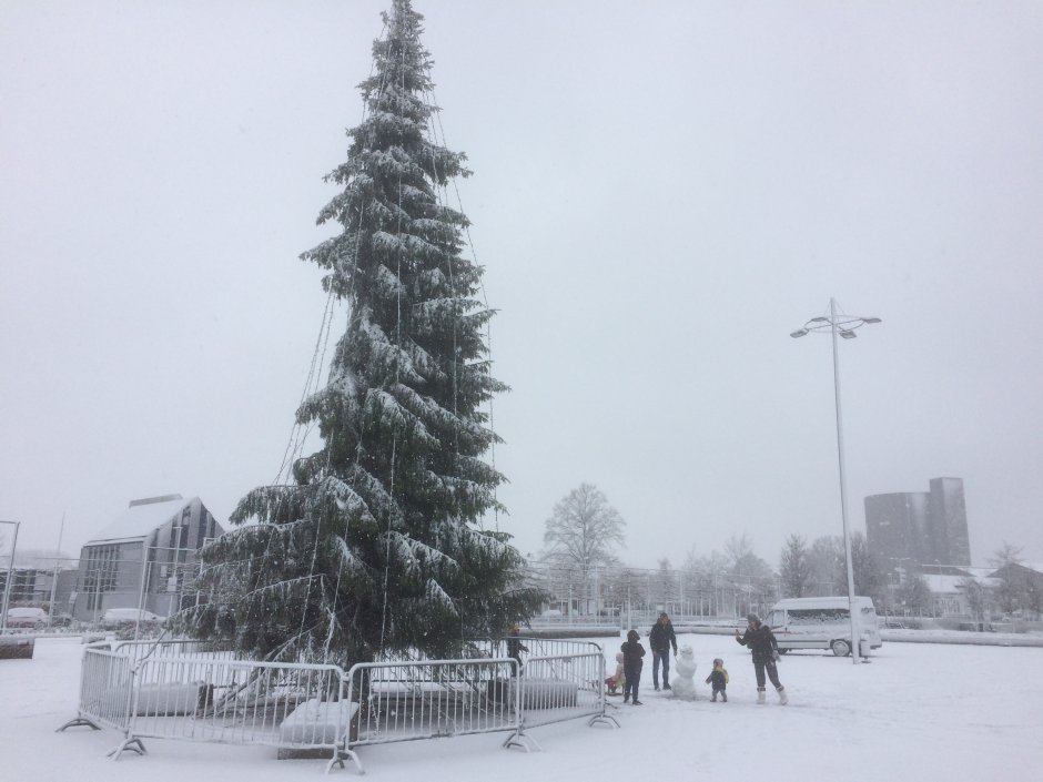 Kerstboom in de sneeuw Foto