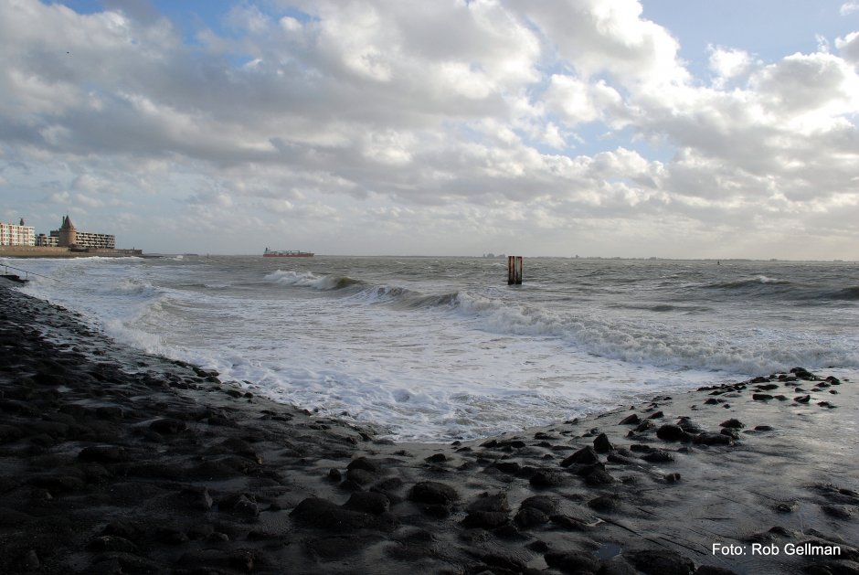 Storm vandaag (15/2) | ZeelandNet Foto