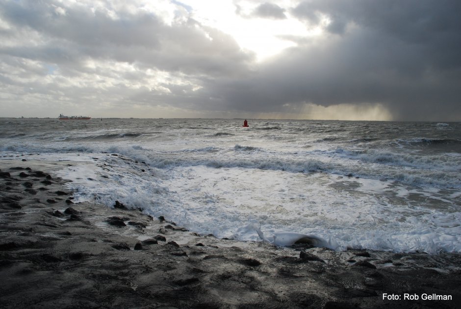 Storm vandaag (15/2) | ZeelandNet Foto