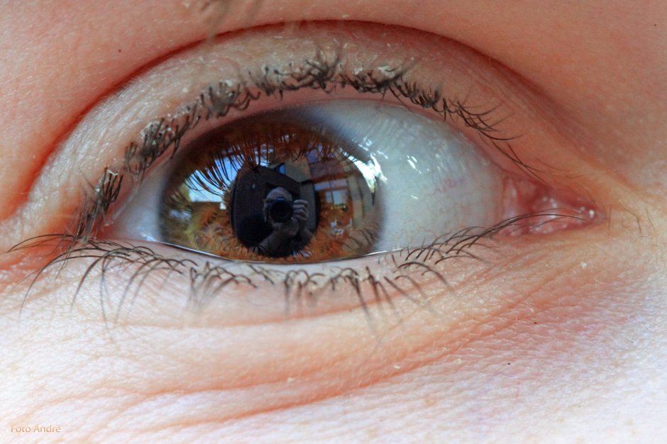 Oog om oog Foto Oog om oog Foto