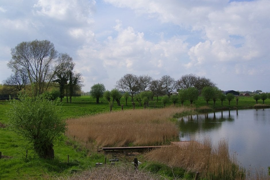 Aan de kreek 2 Foto