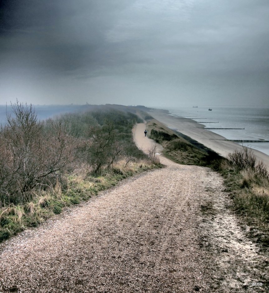 Onze hoogste duinen 5 Foto