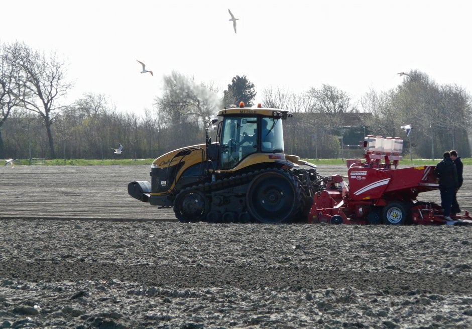 Landbouw | ZeelandNet Foto