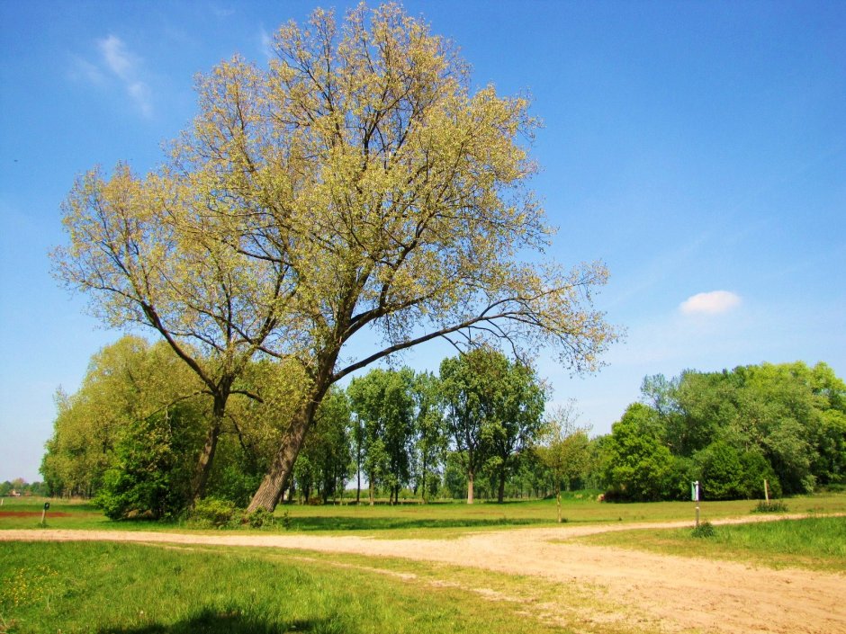lente Boom | ZeelandNet Foto
