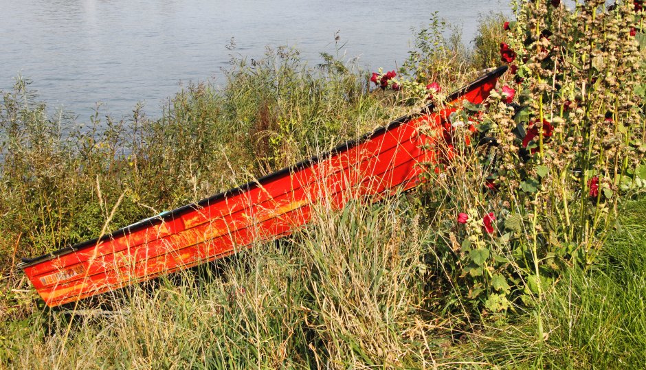 roeiboot delen roeiboot op het droge zeelandnet foto roeiboot delen roeiboot op het droge zeelandnet foto