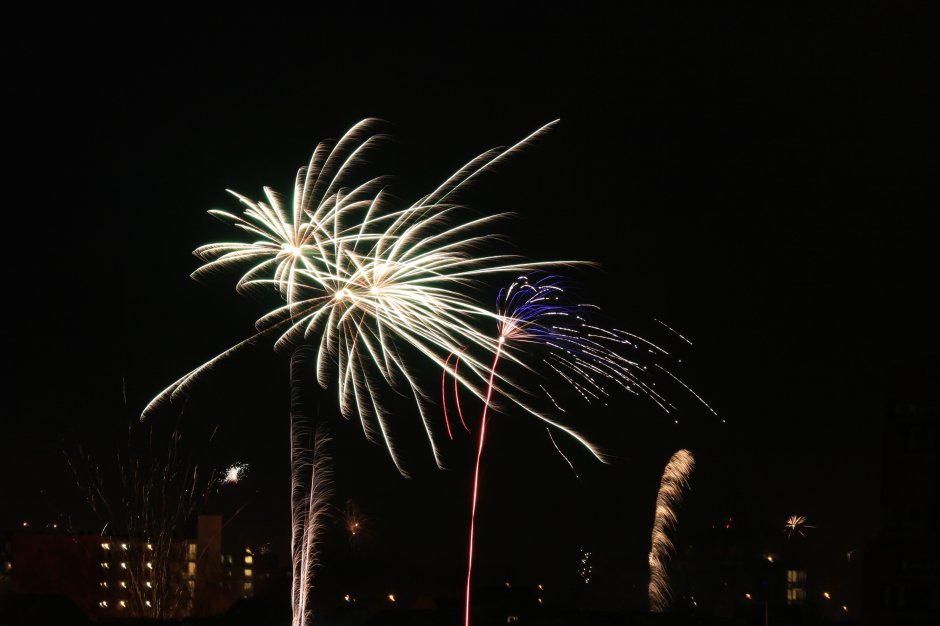 Vuurwerk Palmen Boven Middelburg Zeelandnet Foto