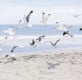 Beachfront Boutiquehotel