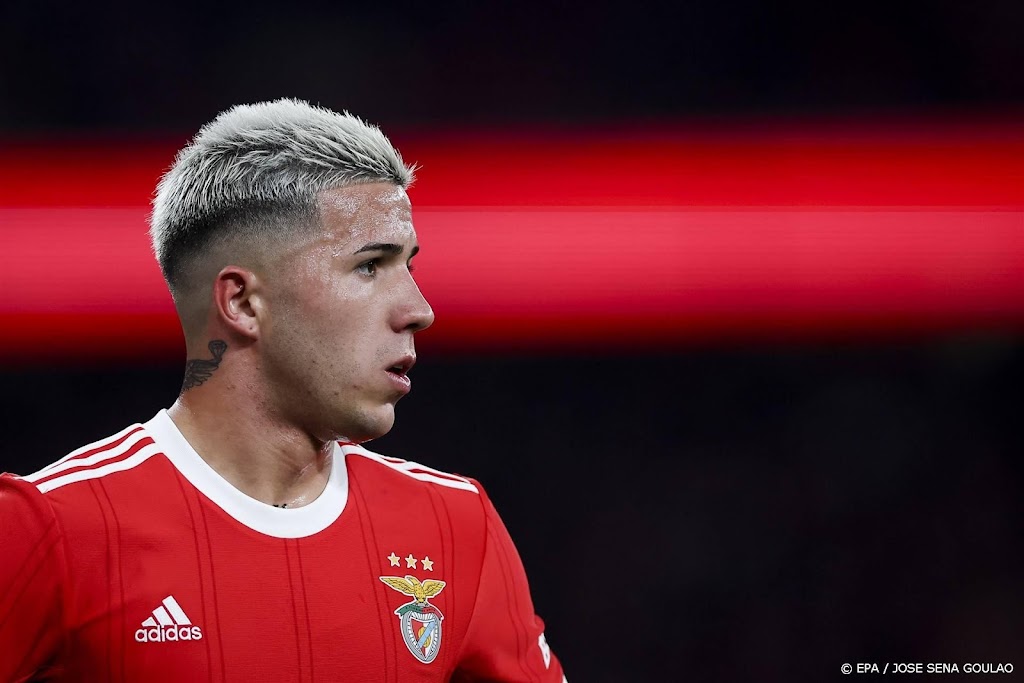 Chelsea betaalt Benfica 121 miljoen euro voor Enzo Fernandez