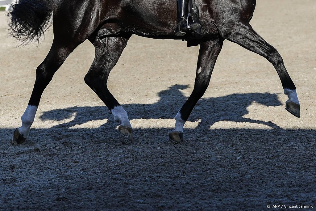 Paardensportwedstrijden tot eind maart geschrapt om virus