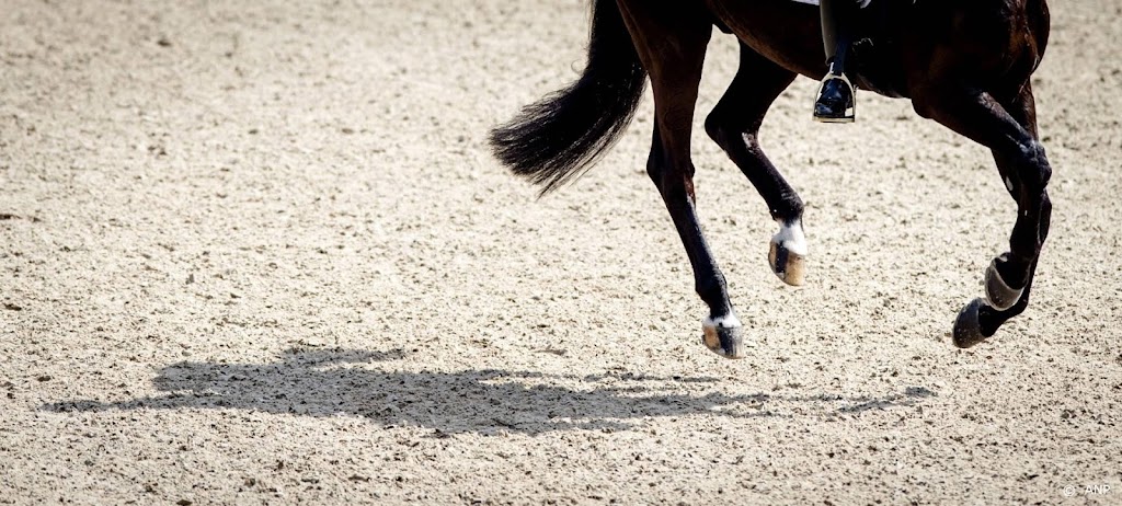 Paardensportbond KNHS sluit Russen uit van deelname wedstrijden