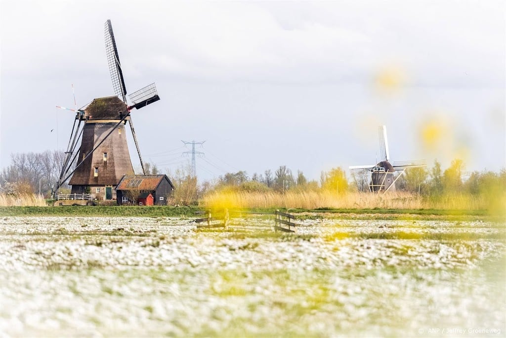 Weeronline: begin van meteorologische lente wordt ‘wat winters’ 