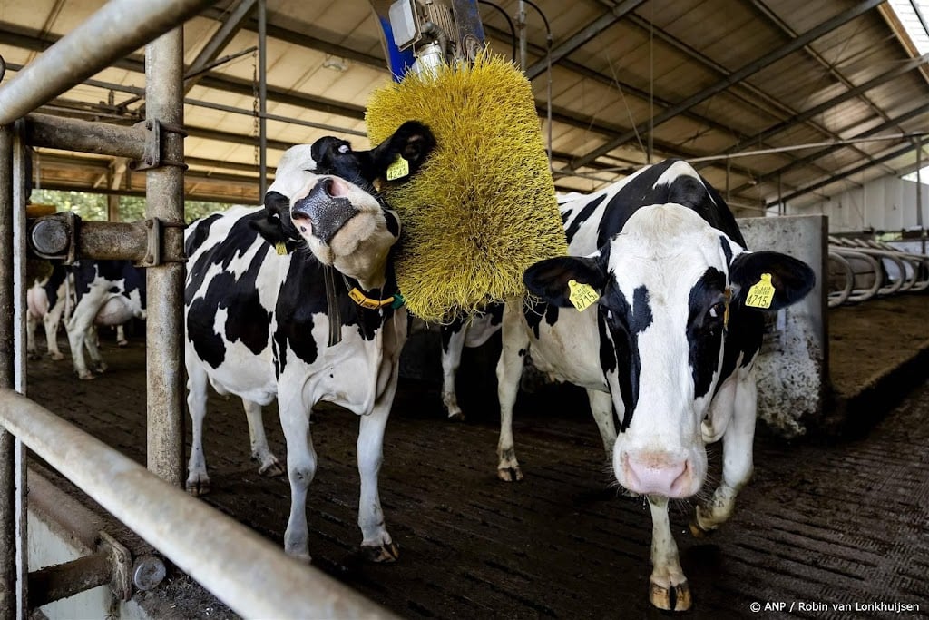 LTO: overheid moet dierwaardige veehouderij financieel stimuleren