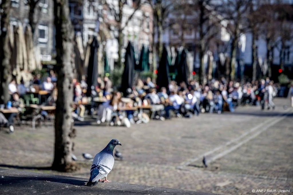 Weeronline: maart veel zachter dan normaal