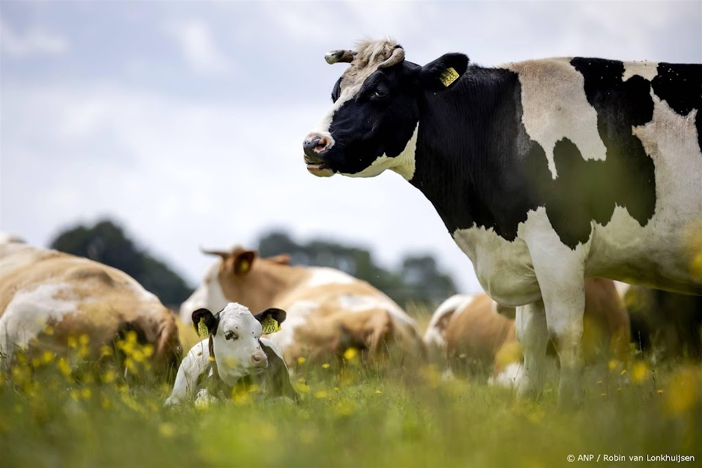 Nederland doneert 50.000 MKZ-vaccins aan Slowakije na uitbraak