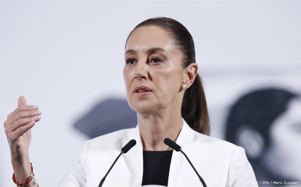Mexicaanse president meldt 'positief' handelsgesprek met Trump