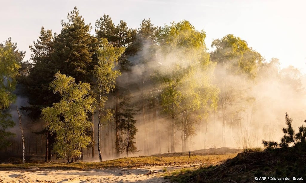 Boeren merken eerste gevolgen van aanhoudende droogte