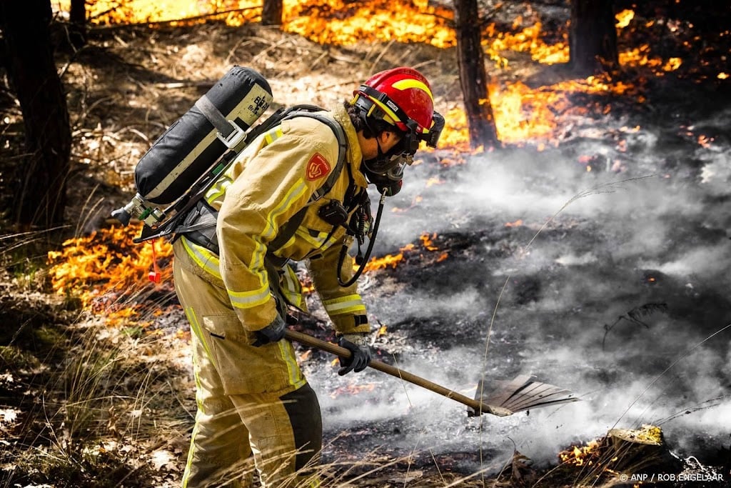 Natuurbrand bij Weert laait op door wind en warmte