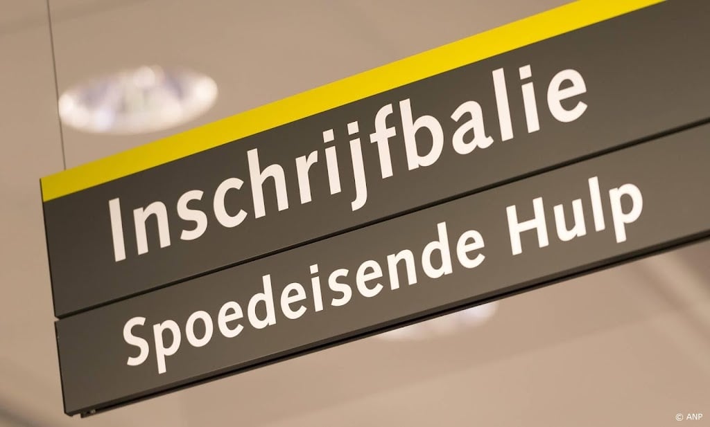 SEH's krijgen vanaf 2027 deels vast budget van 4,6 miljoen