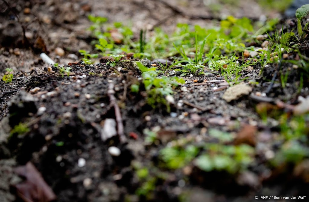 Soepeler regels voor met pfas vervuilde grond