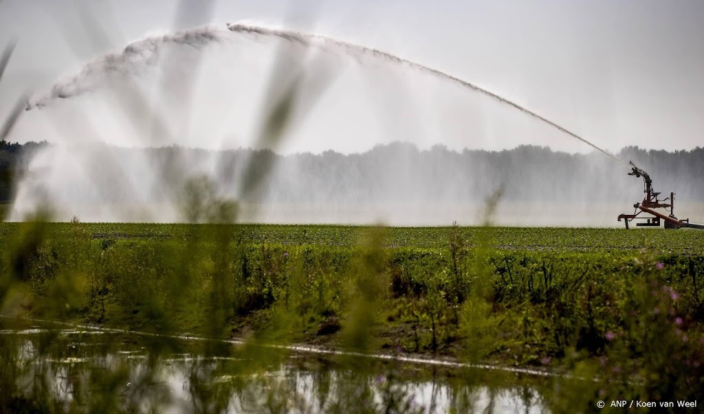 'Nieuwe kabinet moet gebieden aanwijzen voor toplandbouw'