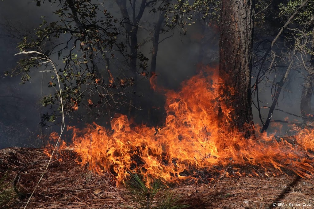 Recordhitte in Canada: brand vaagt dorp weg