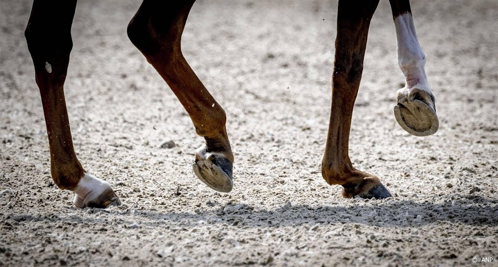 Dressuuramazones vierde in landenwedstrijd CHIO Aken