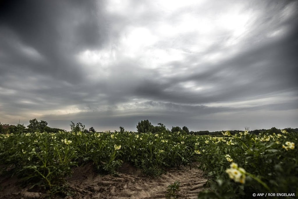 Behalve voor hitte ook waarschuwing voor onweer op woensdag