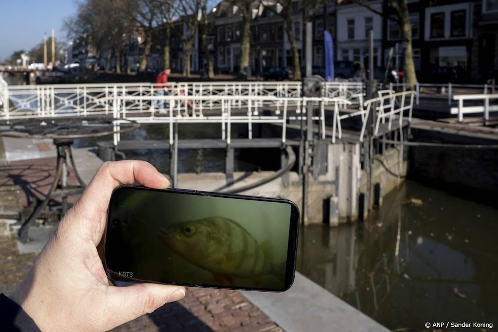 Utrechtse Visdeurbel stopt na 4 maanden met miljoenen views