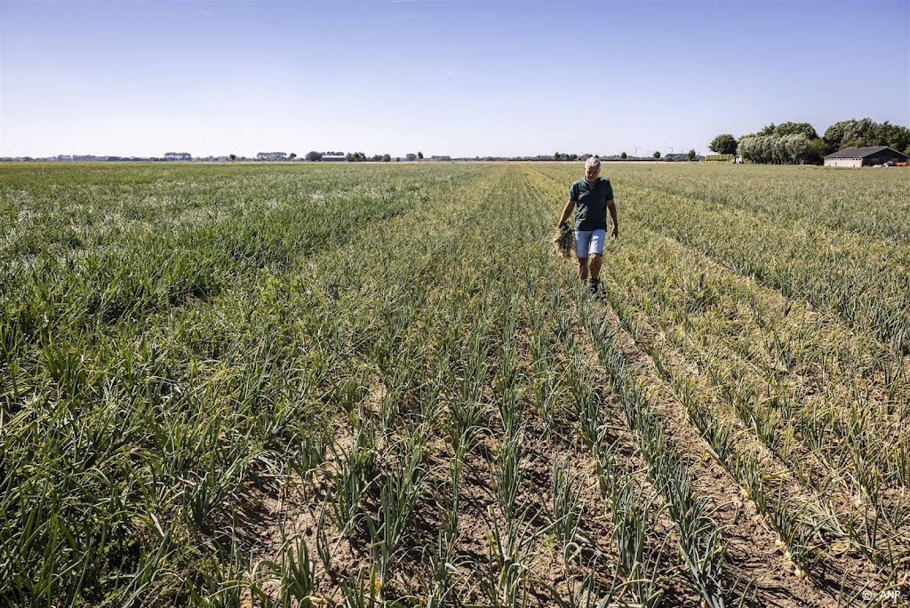 Collectief: agrarisch natuurbeheer goed voor imago landbouwsector