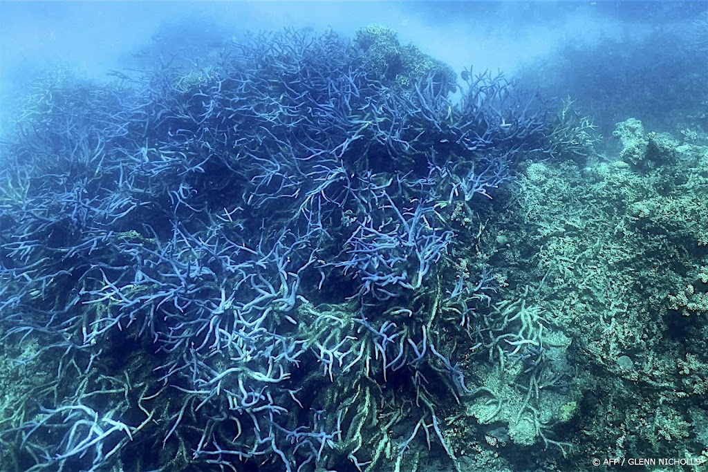 Great Barrier Reef nog niet op lijst bedreigd werelderfgoed