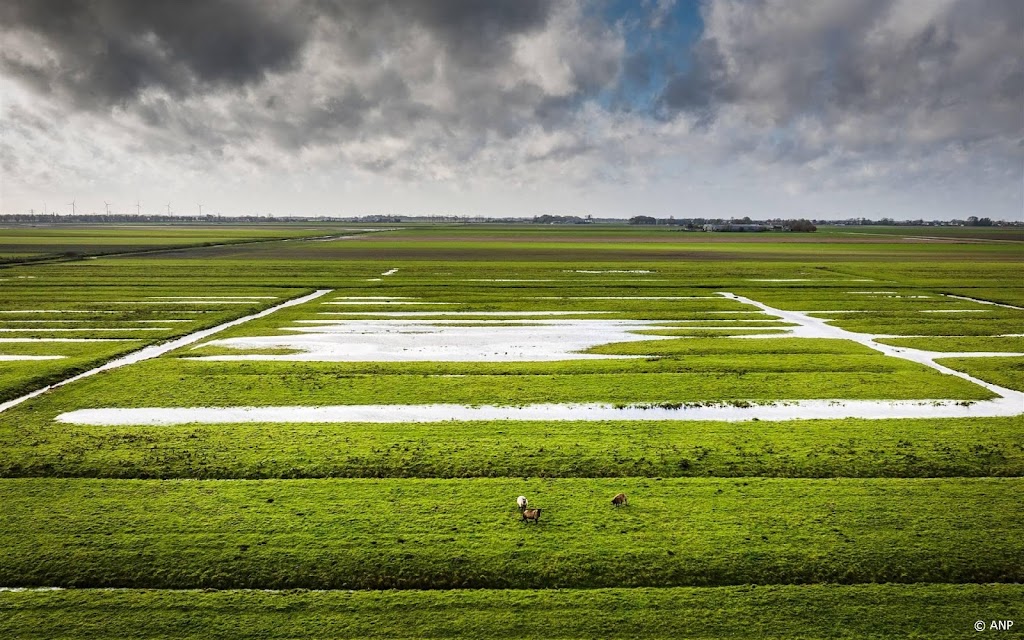KNMI waarschuwt voor veel neerslag in korte tijd in het zuiden 