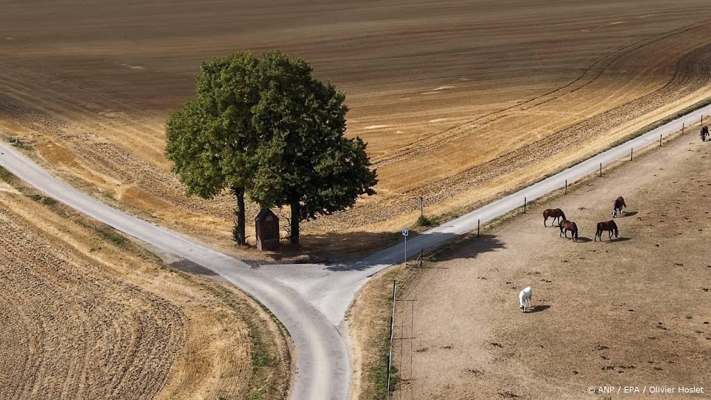 België kampte met heetste zomer ooit
