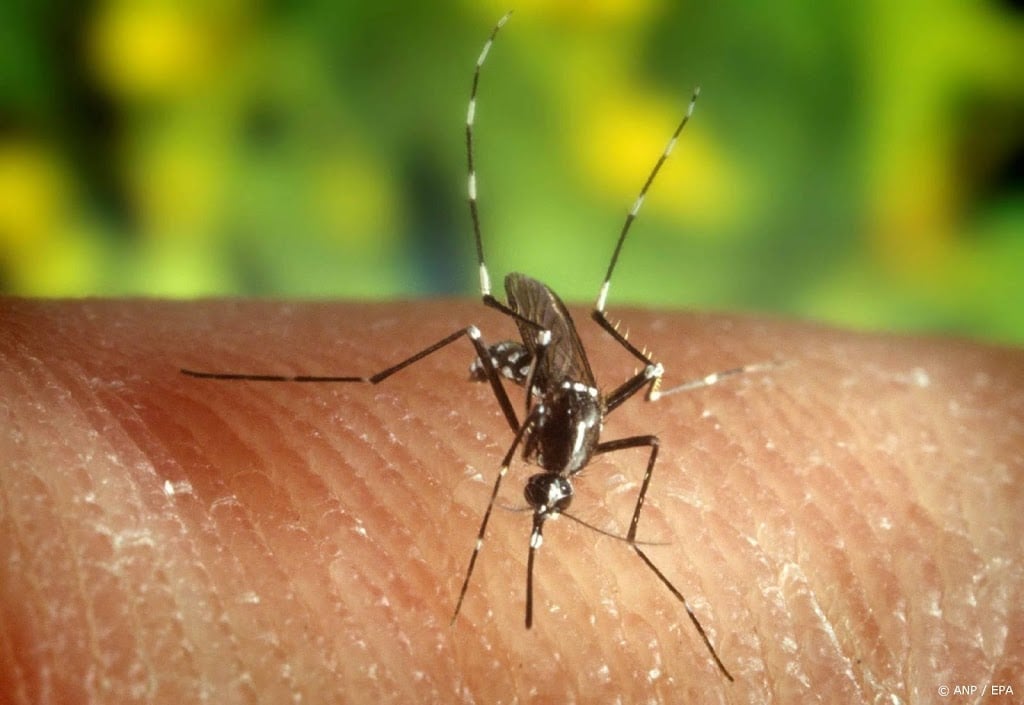 Nieuw geval van westnijlvirus in regio Amsterdam