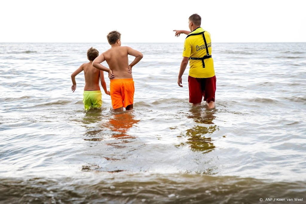 'Zorgelijk' aantal reddingen door Reddingsbrigade deze zomer