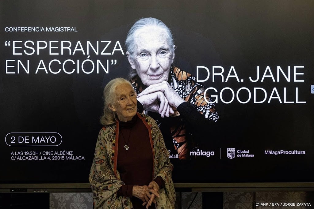 Nederlandse tak Goodall Instituut: missie Jane wordt voortgezet