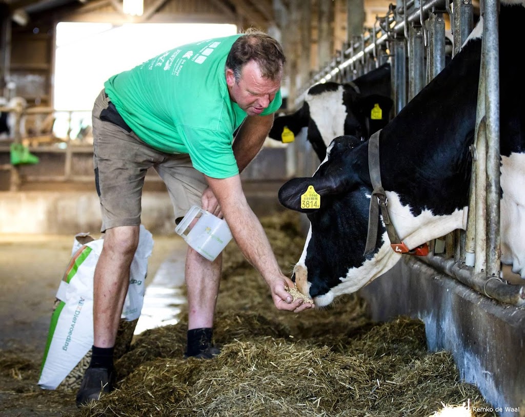 Winst ForFarmers gedrukt door door dure energie en dierziekten