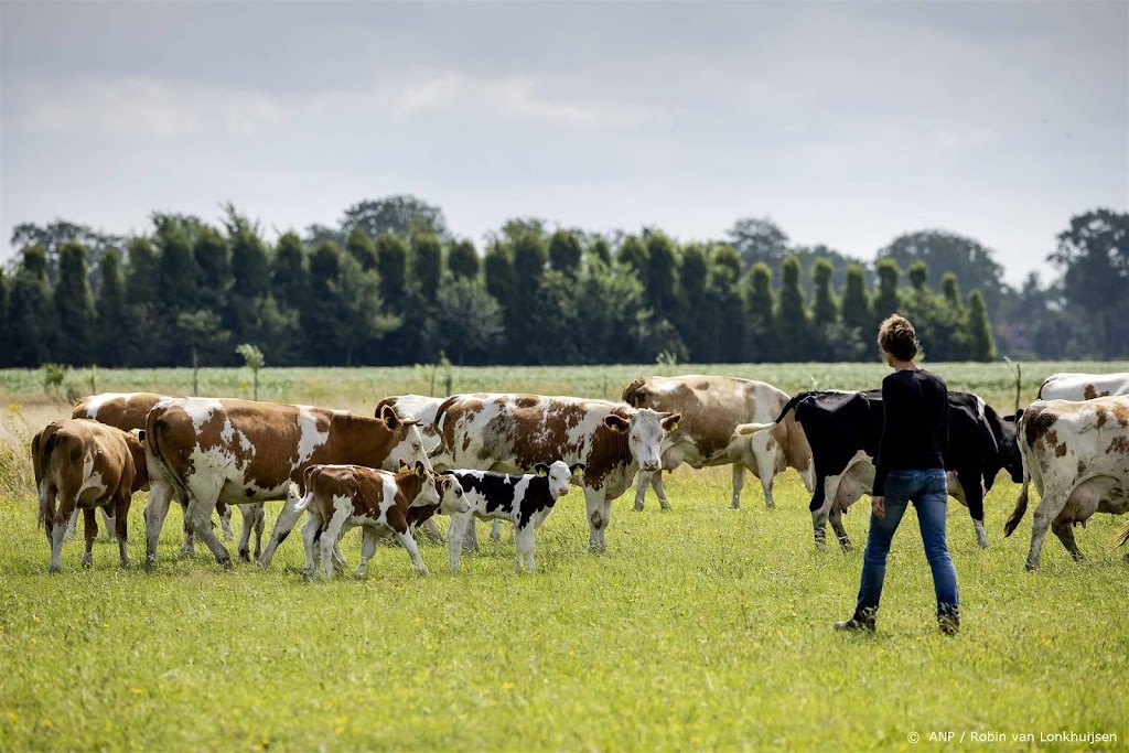 Boeren: beleid te onvoorspelbaar voor investeren duurzame energie