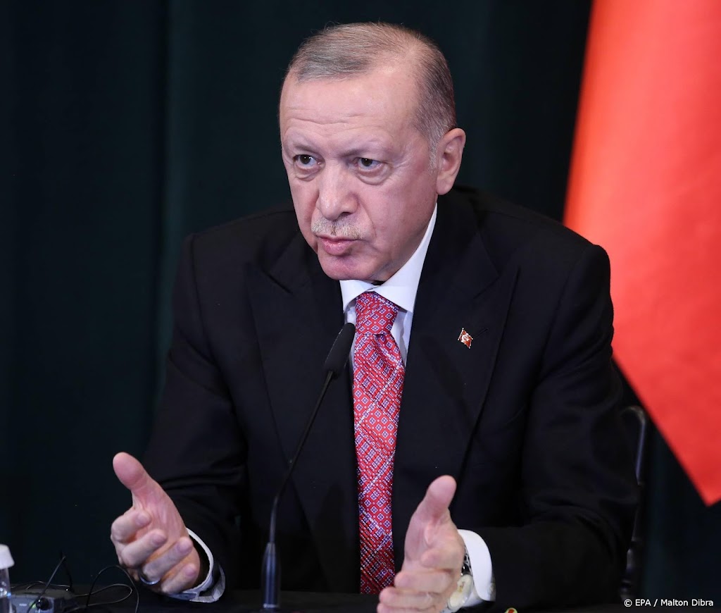 Erdogan mengt zich in Oekraïne-crisis