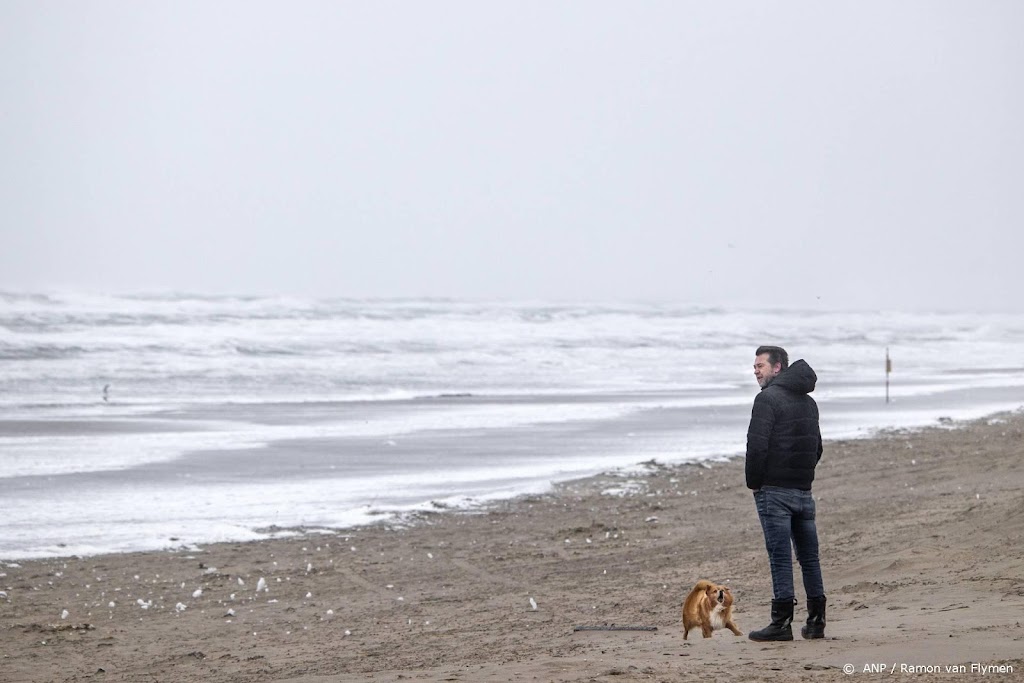 Veel zand van duinen geslagen door storm Corrie en hoogwater
