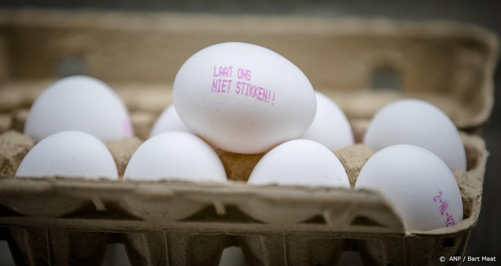 Hof doet uitspraak in fipronilzaak kippenboeren tegen staat