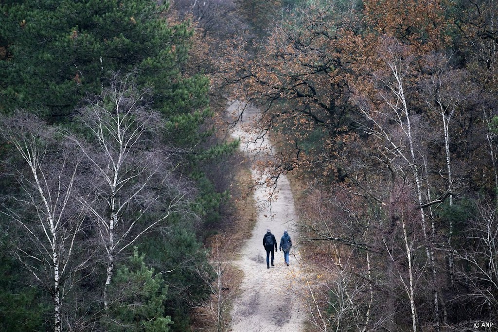 Ruim 900.000 euro opgehaald met derde ALS Sunrise Walk