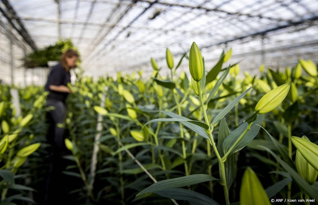 Meer onderzoek nodig naar bestrijdingsmiddelen nabij natuurgebied