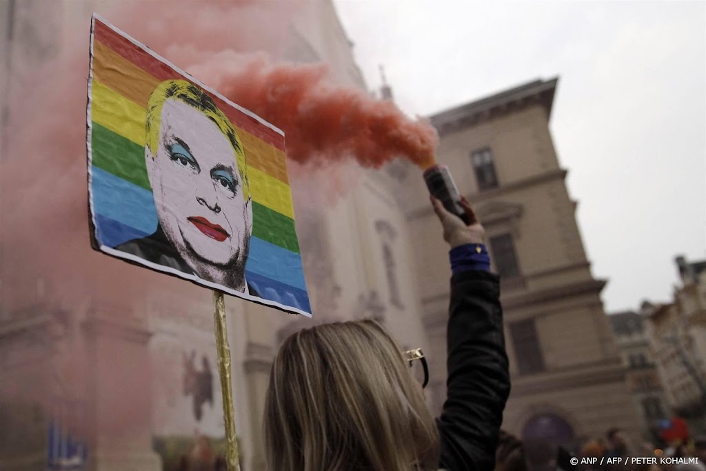 Europarlementariërs gaan naar verboden Pride in Boedapest