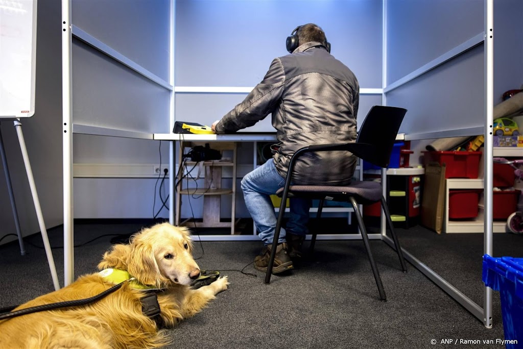 Meldpunt meldt toename aantal klachten over stemmen met beperking